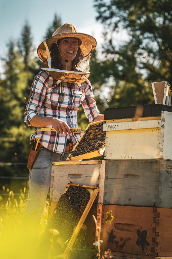 Sponsoring a hive - Ruchette package