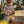Load image into Gallery viewer, Formation en apiculture pour débutant
