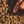 Load image into Gallery viewer, Formation en apiculture pour débutant
