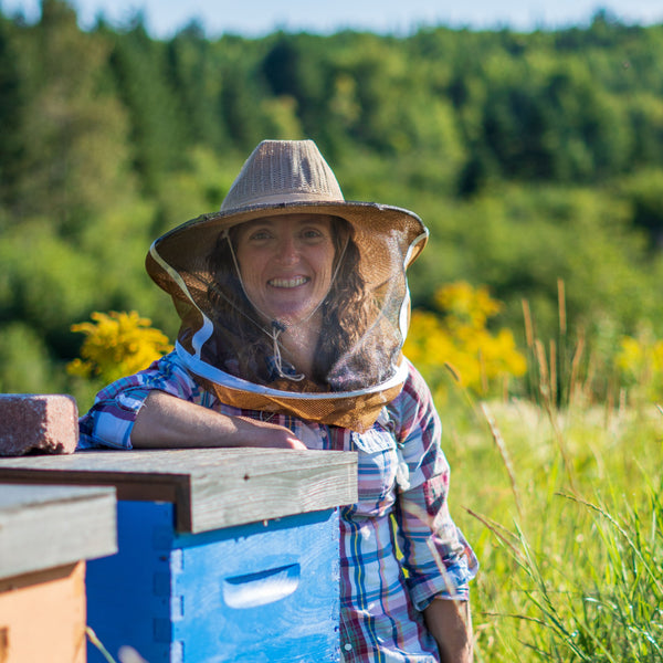 Formation en apiculture pour débutant
