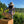 Load image into Gallery viewer, Formation en apiculture pour débutant
