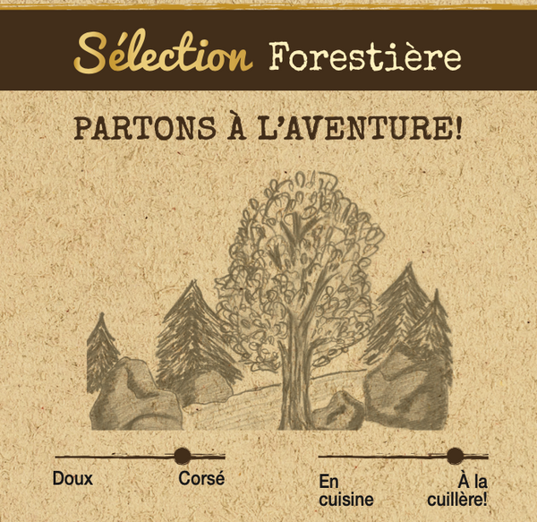SÉLECTION Forestière - POT - 375g